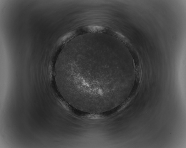X0000085060762200703051439