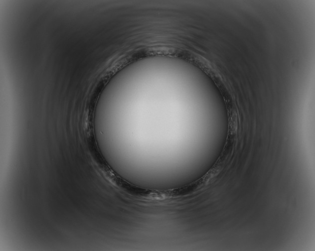 X0000085060764200703051439