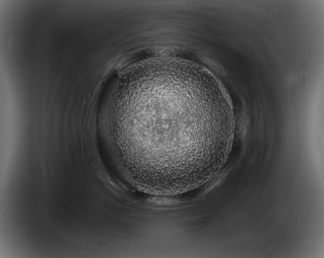 X0000085060766200703051439