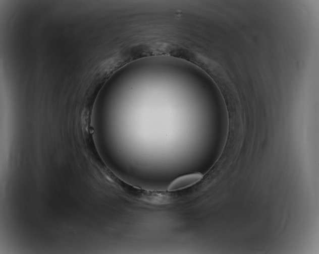 X0000085060768200703051439