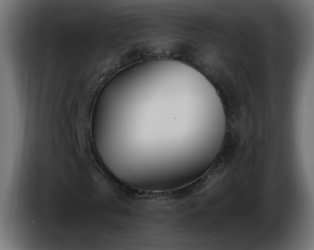 X0000085060769200703051438