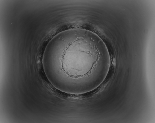 X0000085060771200703051438