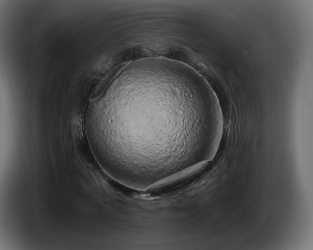 X0000085060772200703051438