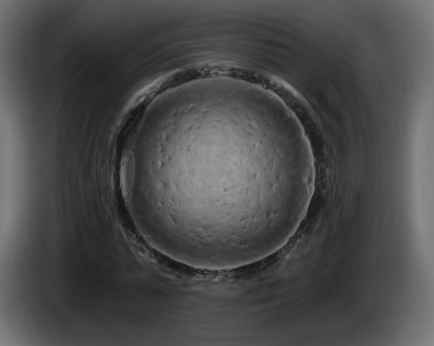 X0000085060775200703051438
