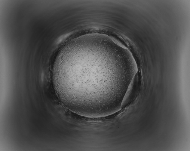 X0000085060776200703051438