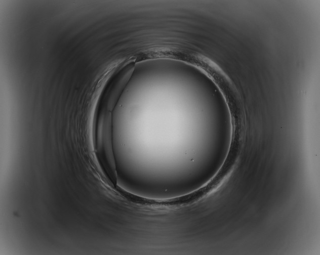 X0000085060777200703051438