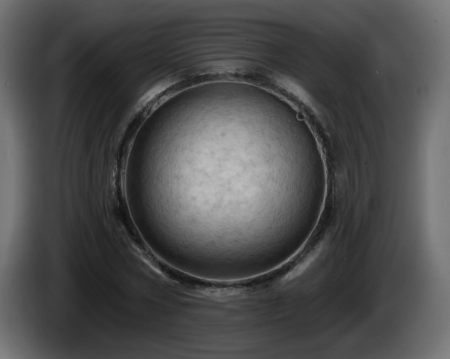 X0000085060778200703051438