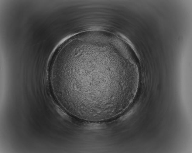 X0000085060779200703051438