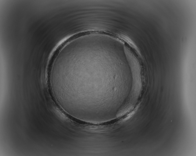 X0000085060780200703051438