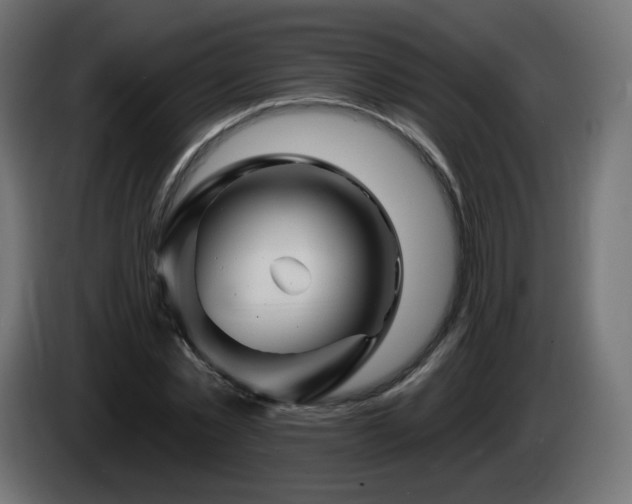 X0000085060781200703051438