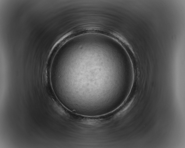 X0000085060782200703051438