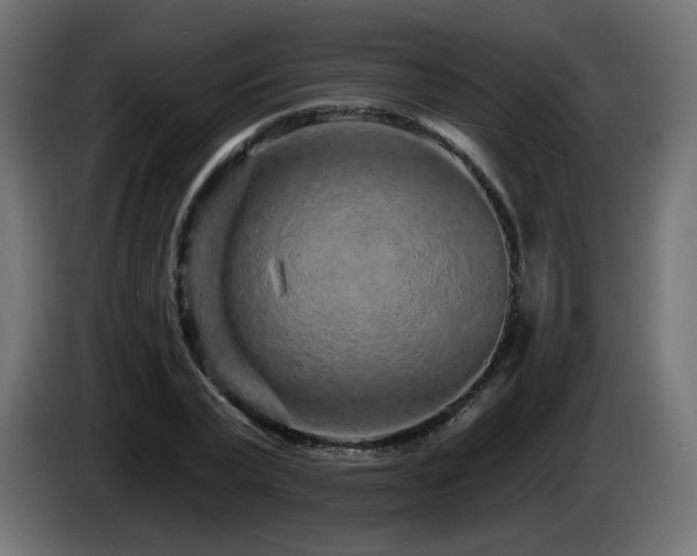 X0000085060783200703051438