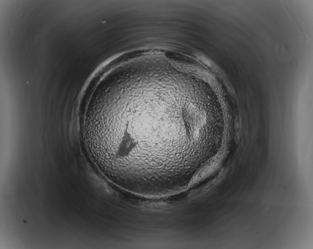 X0000085060784200703051438
