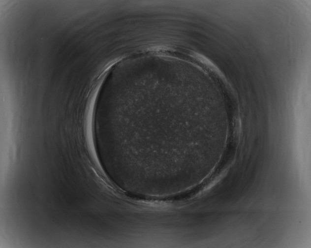 X0000085060785200703051438
