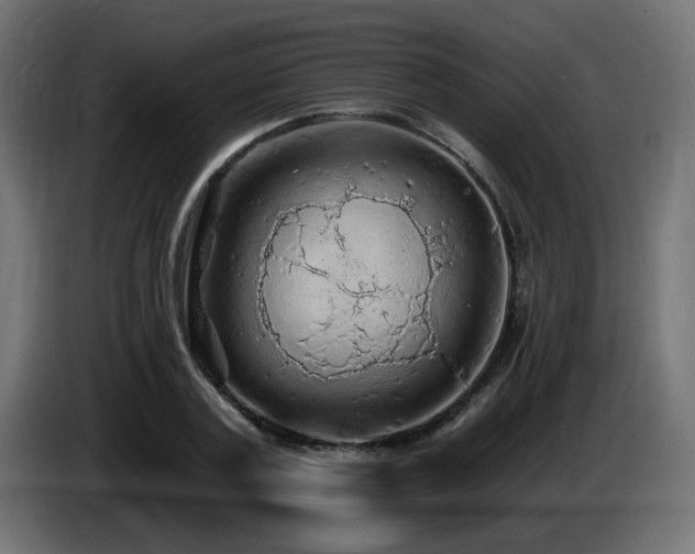 X0000085060787200703051438