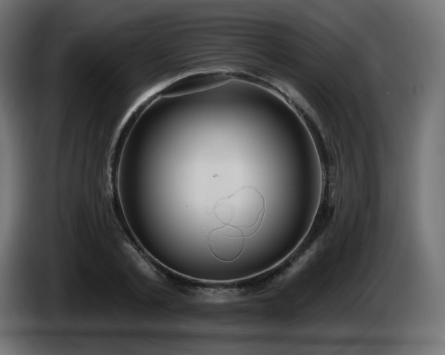 X0000085060789200703051438