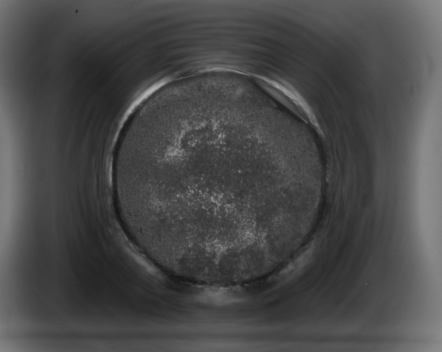 X0000085060790200703051438
