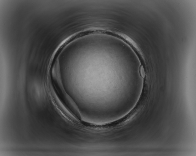 X0000085060791200703051438