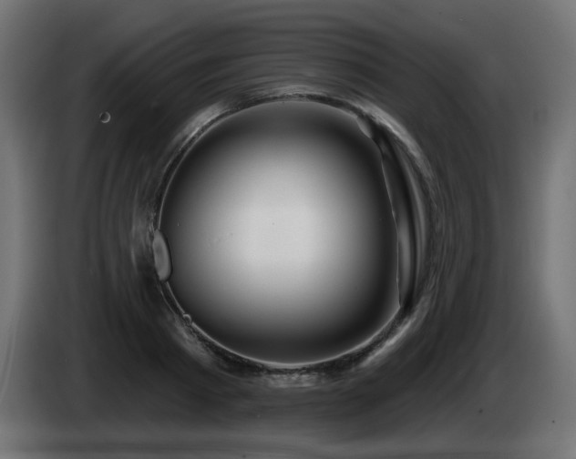 X0000085060793200703051438