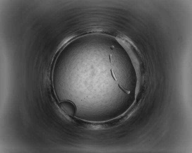 X0000085060794200703051438