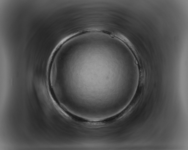 X0000085060795200703051438