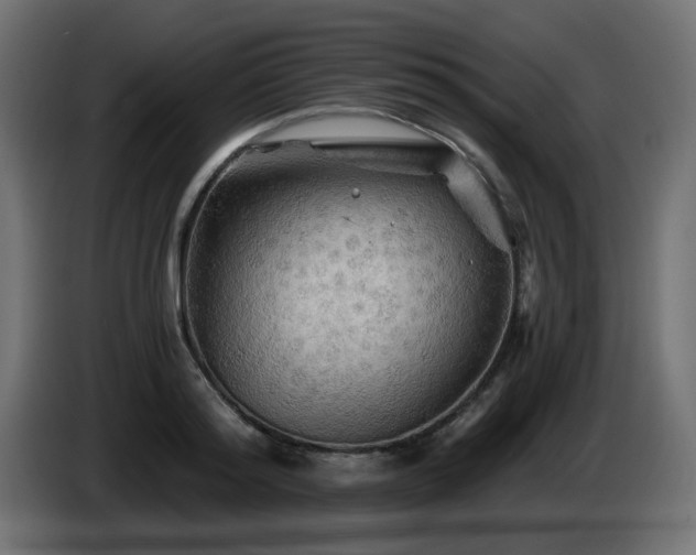 X0000085060796200703051438