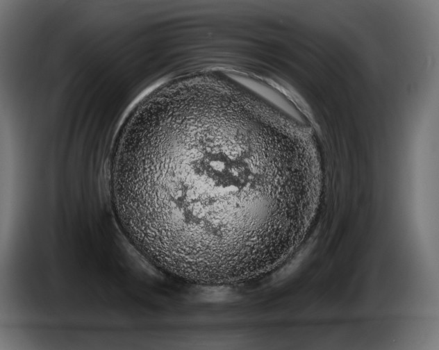 X0000085060798200703051438