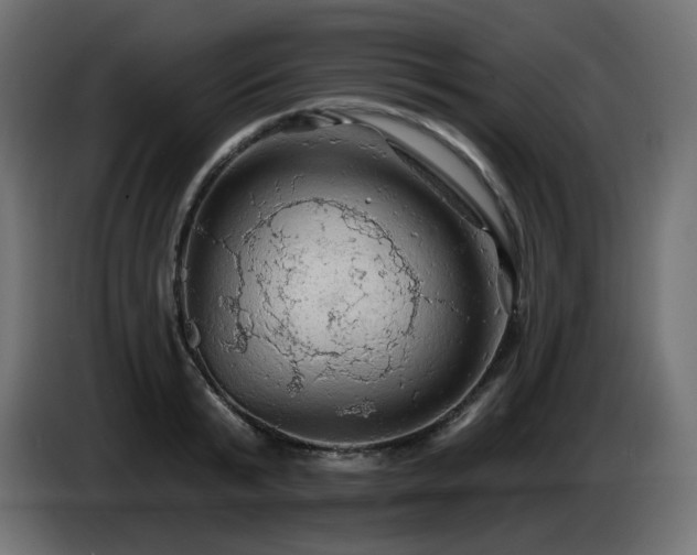 X0000085060799200703051438