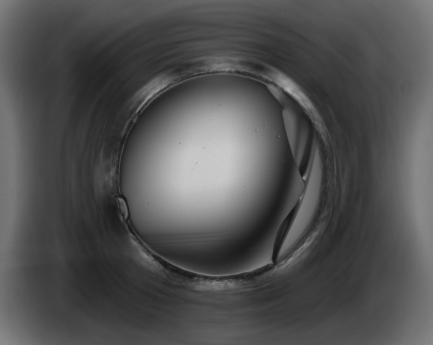 X0000085060801200703051438
