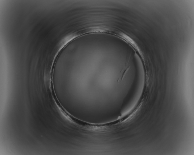 X0000085060802200703051438