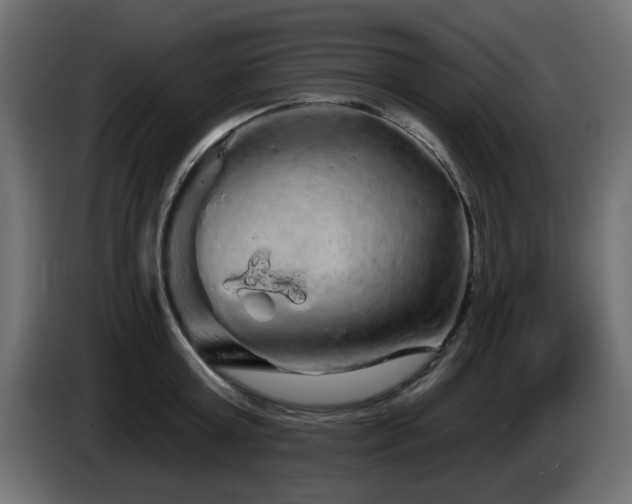 X0000085060803200703051438