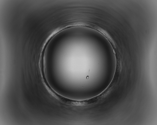 X0000085060805200703051438