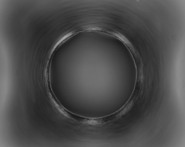 X0000085060806200703051437