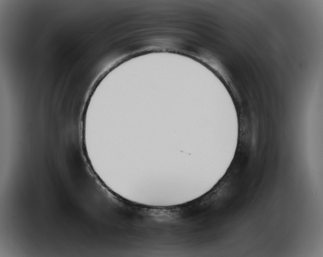 X0000085060807200703051437