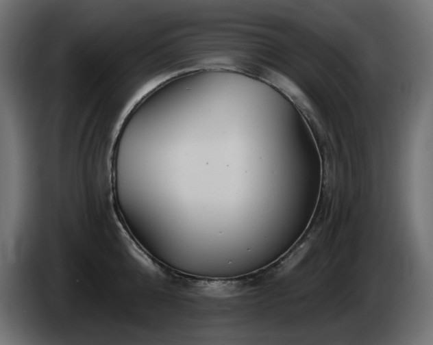 X0000085060808200703051437