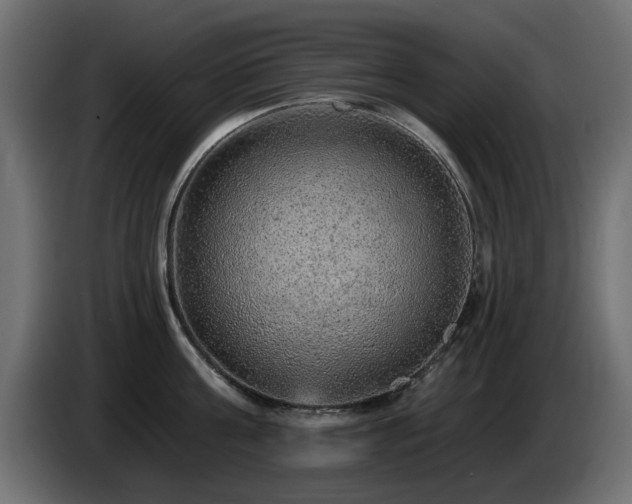 X0000085060811200703051437