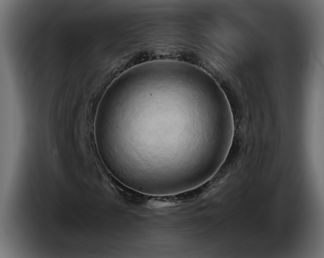 X0000085060817200703051437