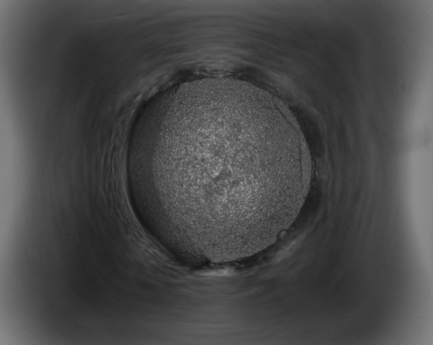X0000085060818200703051437