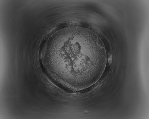 X0000085060819200703051437