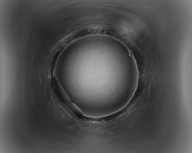 X0000085060821200703051437