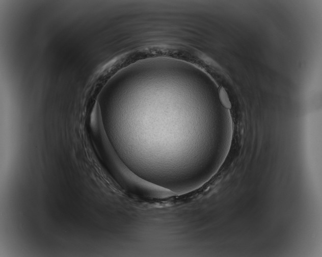 X0000085060822200703051437