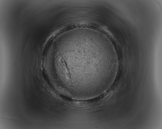 X0000085060823200703051437
