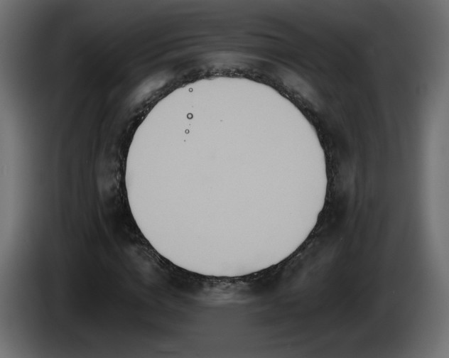 X0000085060824200703051437