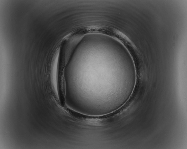 X0000085060825200703051437