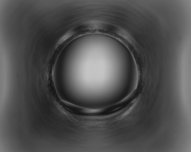 X0000085060826200703051437