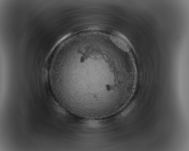 X0000085060827200703051437