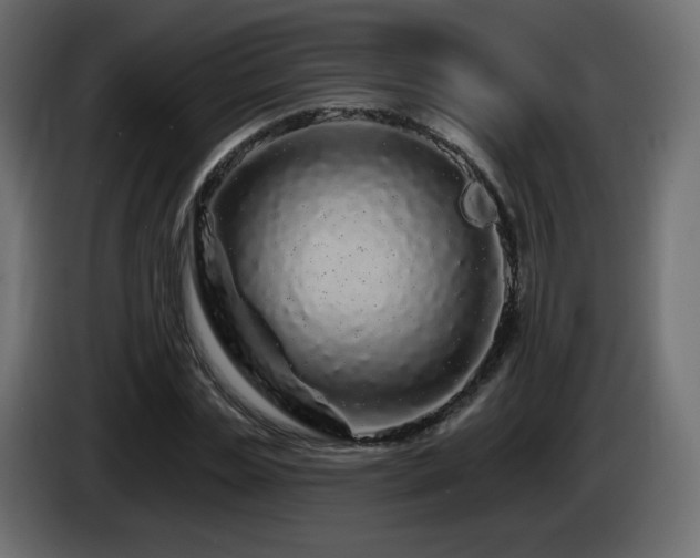 X0000085060829200703051437