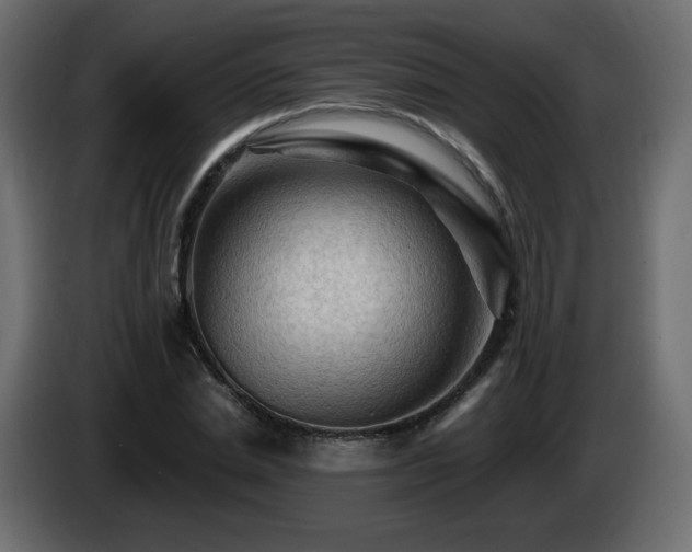 X0000085060830200703051437