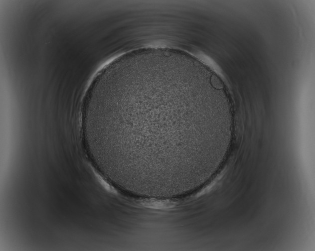 X0000085060831200703051437