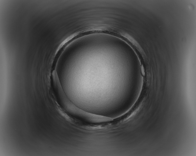 X0000085060834200703051437